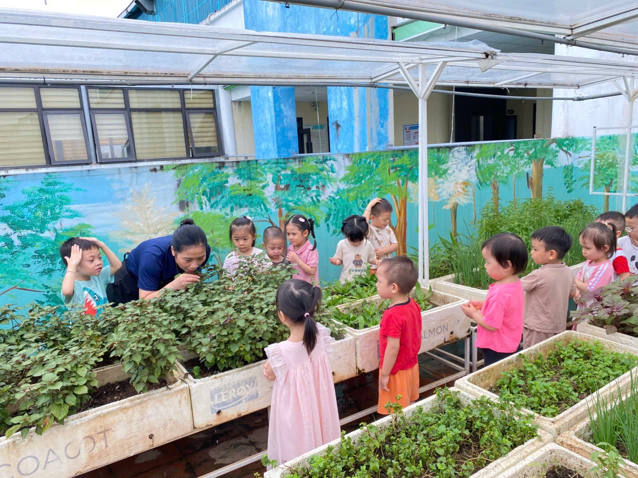 https://ad-mnsaomai.ngocha.edu.vn/UploadFinder/images/2025/9/25/25092025135536_6.png