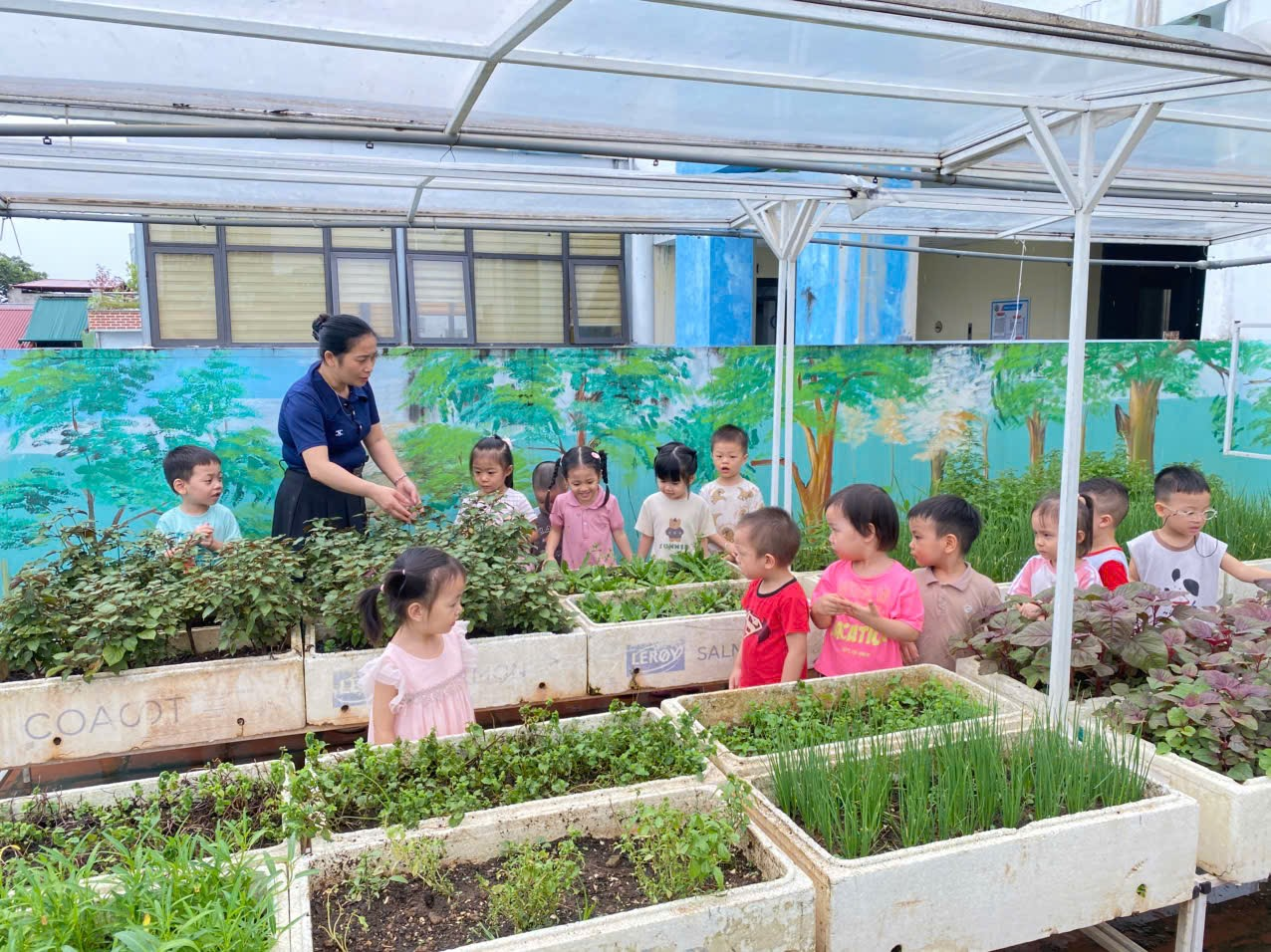 https://ad-mnsaomai.ngocha.edu.vn/UploadFinder/images/2025/9/25/25092025135536_5.png