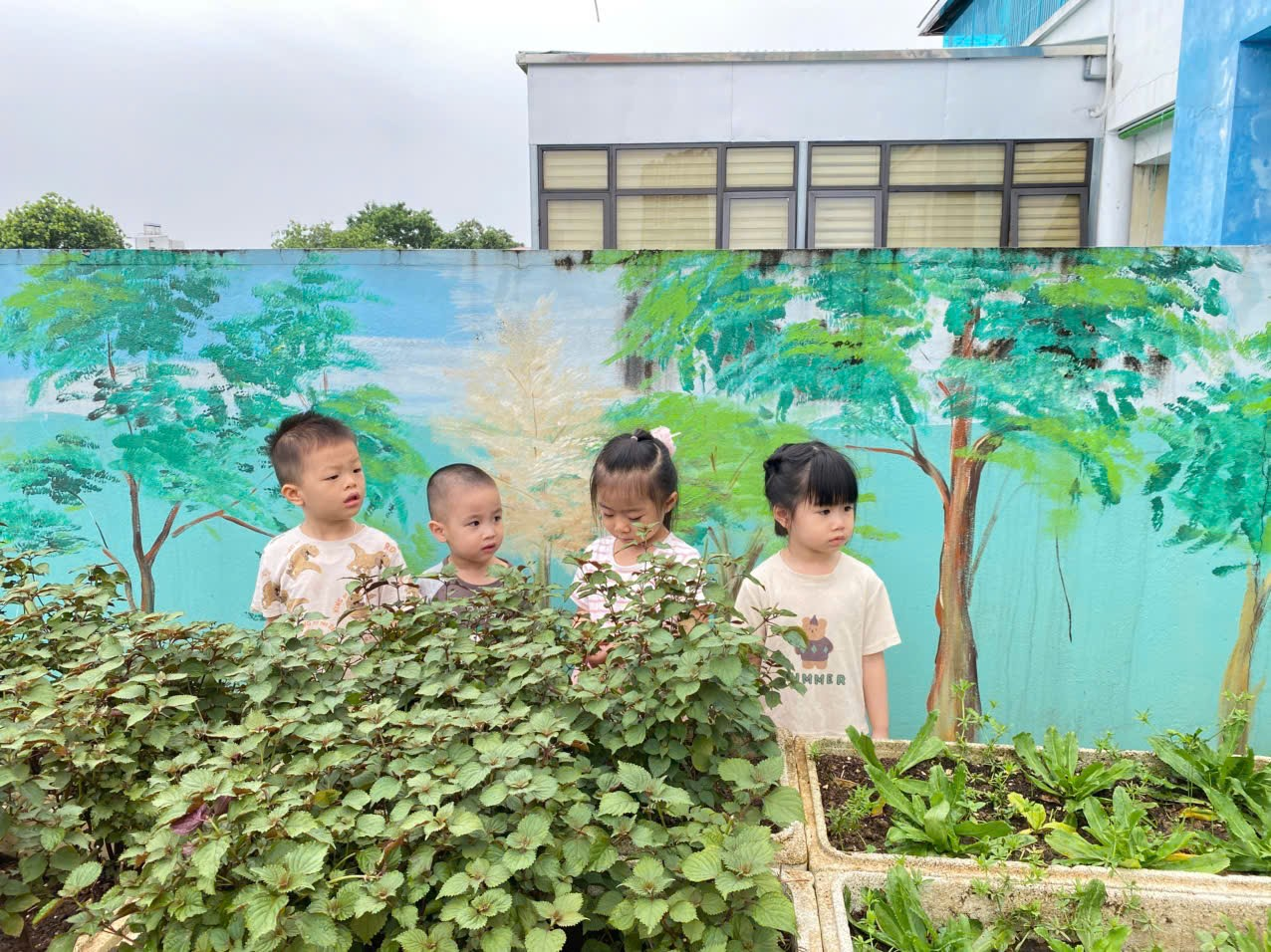 https://ad-mnsaomai.ngocha.edu.vn/UploadFinder/images/2025/9/25/25092025135536_7.png
